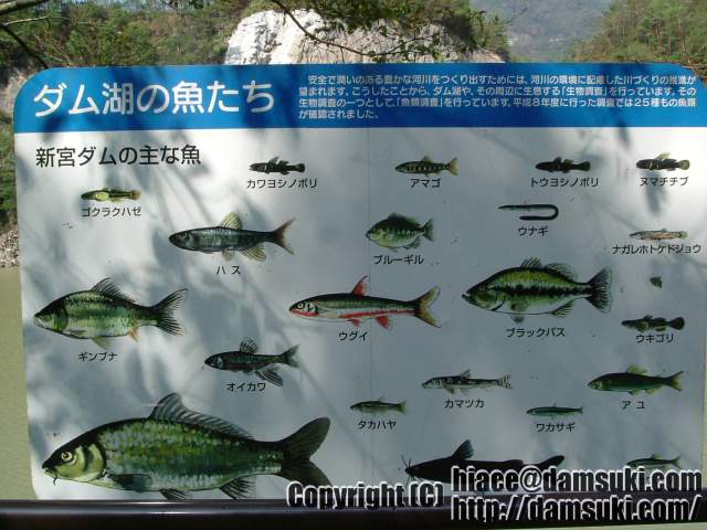 ʿ16ǯ98  0948ʬ